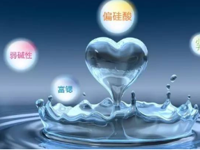 偏硅酸检测分析